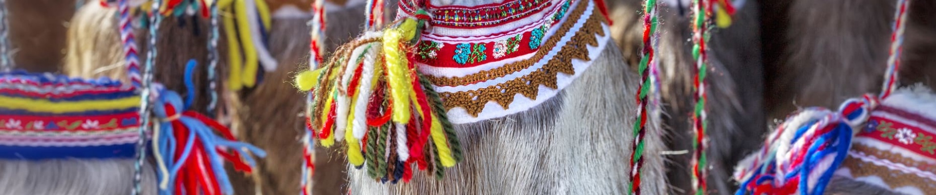 Sac en fourrure ethnique samis