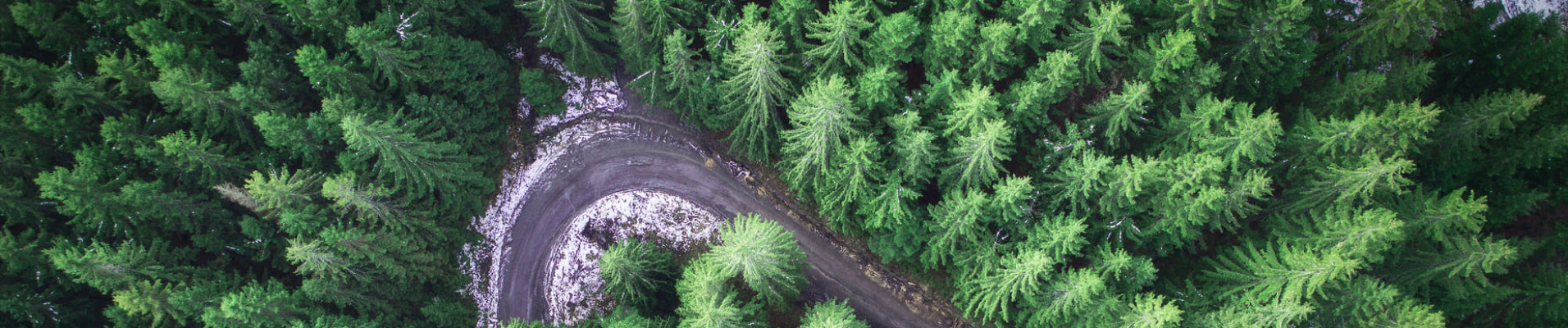 Route dans la forêt en Norvège prise d'un drone
