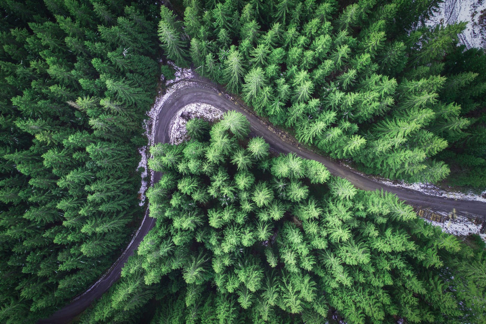 Route dans la forêt en Norvège prise d'un drone