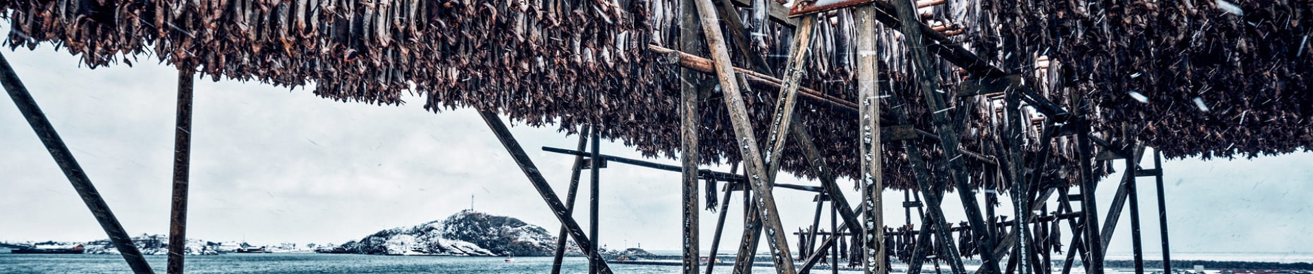 Séchoirs à morue dans les îles Lofoten en Norvège