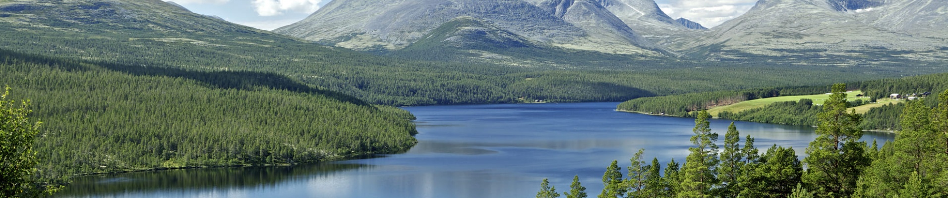 Vue sur le parc national Rondane