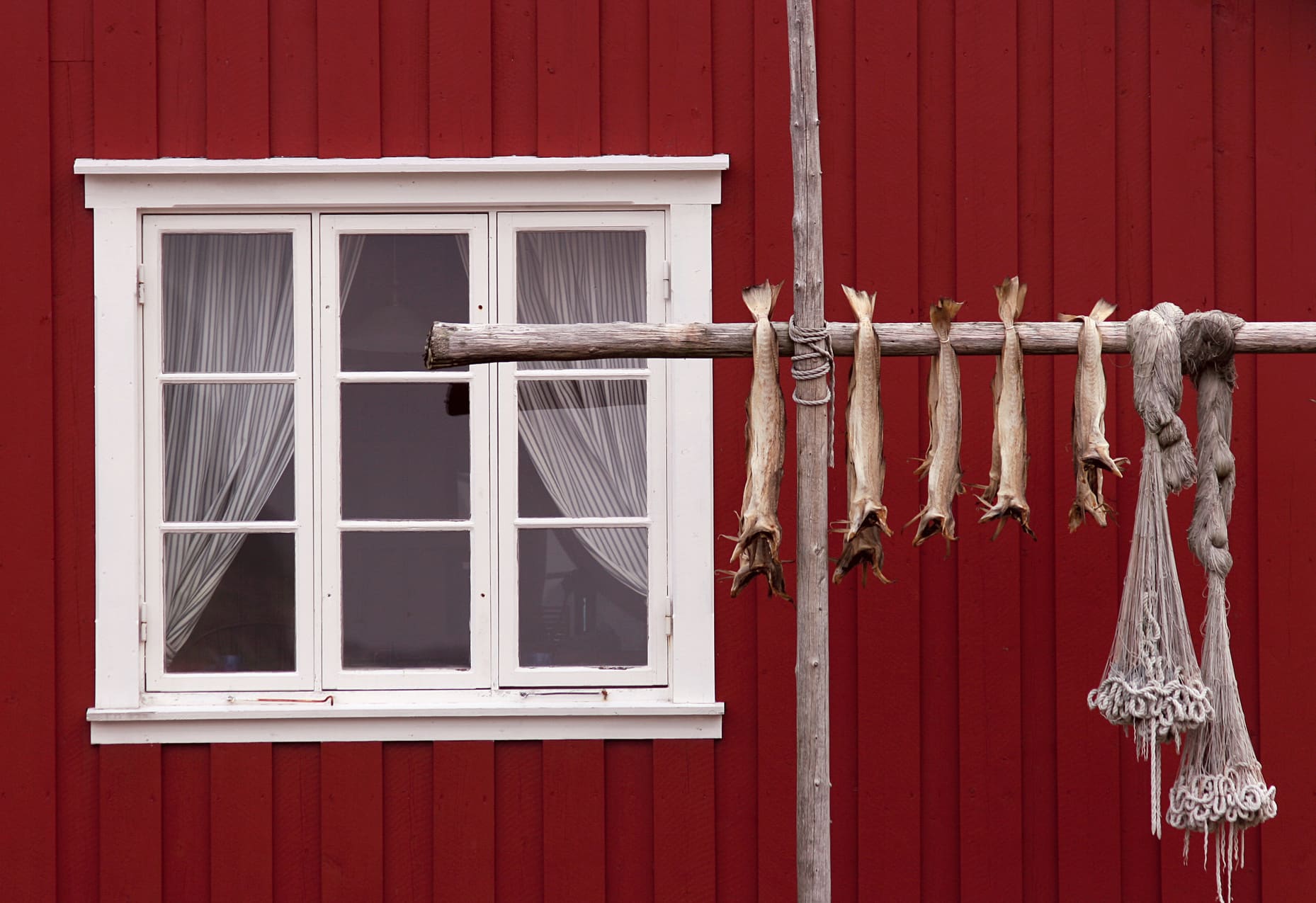 Maison traditionnelle norvégienne et poissons séchés