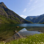 Immersion dans les fjords norvégiens