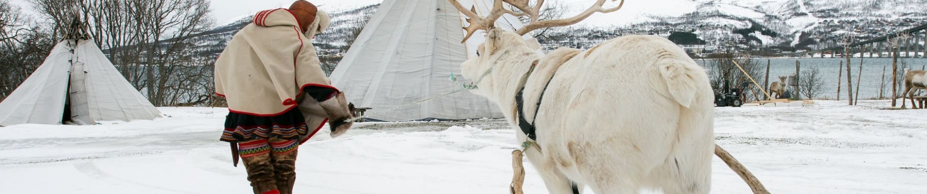 Sami en habit traditionnel avec un renne tirant un traineau