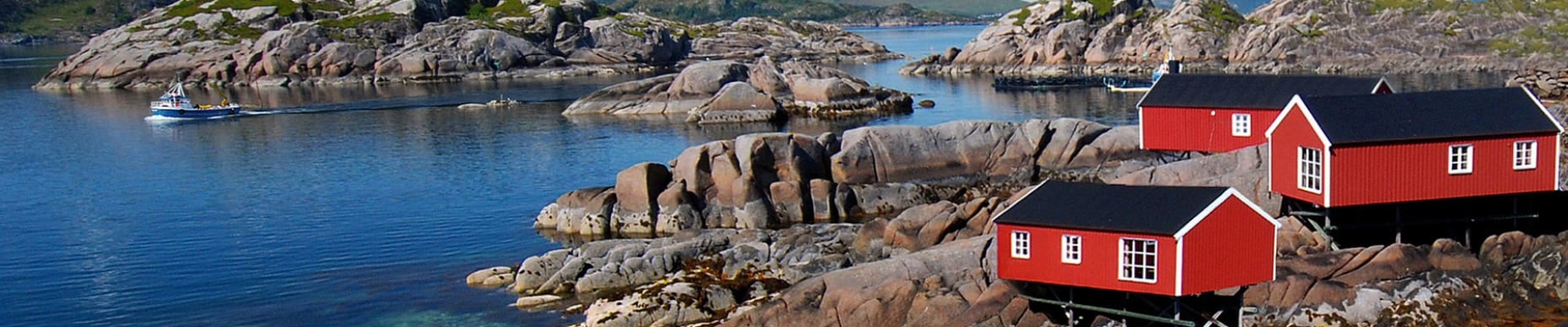 Rorbus dans les Lofoten