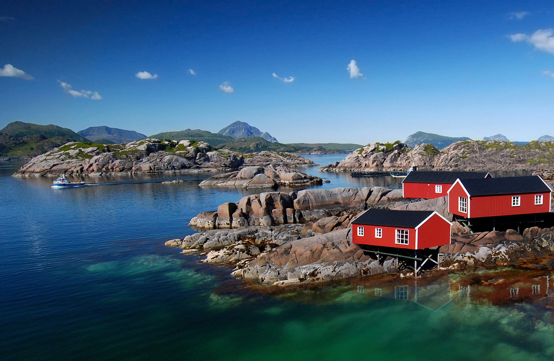 Rorbus dans les Lofoten