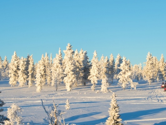 Motos des neiges en Laponie norvégienne