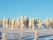 Motos des neiges en Laponie norvégienne