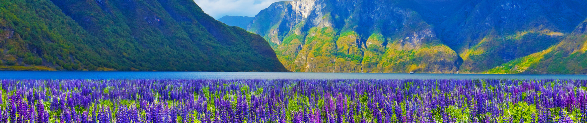 Fjord norvégien au printemps