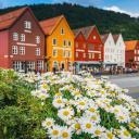 Maisons colorées à Bergen Norvège